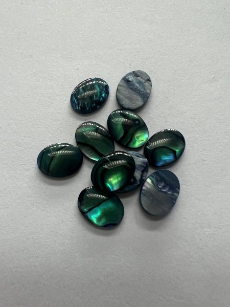 abalone-bundle-x10-2