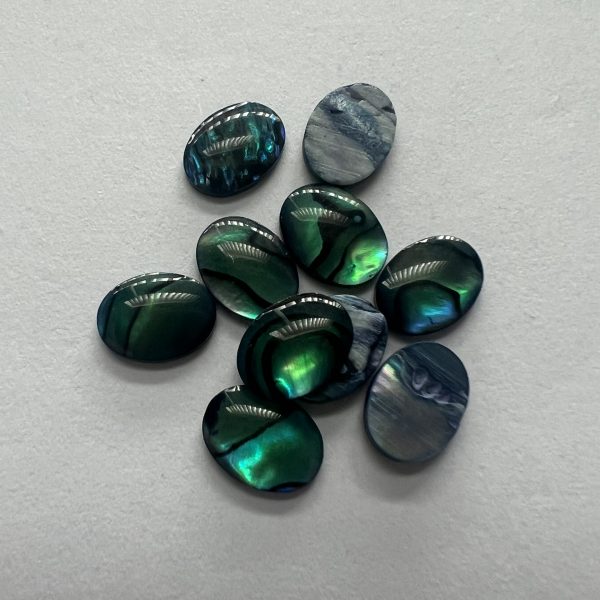 abalone-bundle-x10-2